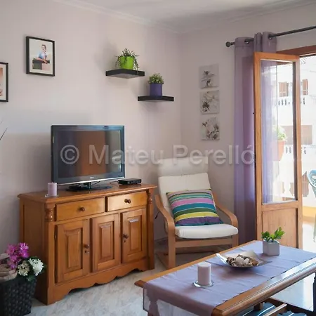 Charmante In Son Baulo Mit Grill Apartment